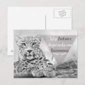 De bedreigde luipaard beschermt het Briefkaart van (Voorkant / Achterkant)