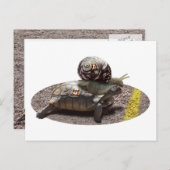 De bedrieger briefkaart (Voorkant / Achterkant)