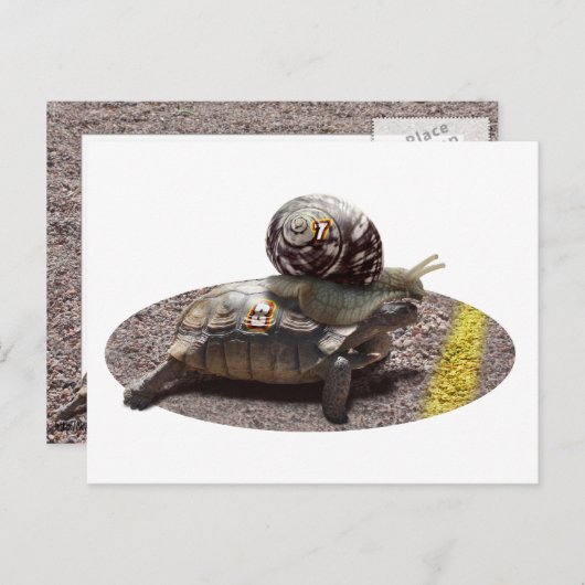 De bedrieger briefkaart (Voorkant / Achterkant)