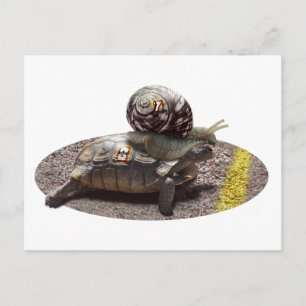 De bedrieger briefkaart