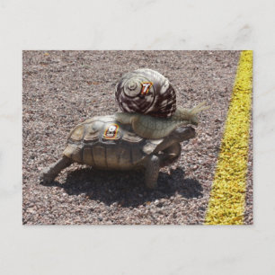 De bedrieger briefkaart