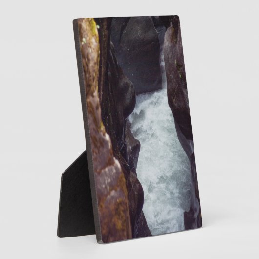 De beeldhouwer fotoplaat (Zijkant)