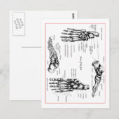De beenderen van de voet briefkaart (Voorkant / Achterkant)
