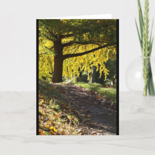 De Begraafplaats van Greenwood, Brooklyn, NY Kaart