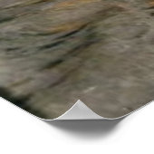 De begrafenis van een Viking door Frank Bernard Di Poster (Hoek)