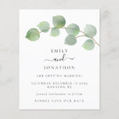 De begroting Elegant Eucalyptus verlaat sparen de  (Voorkant)