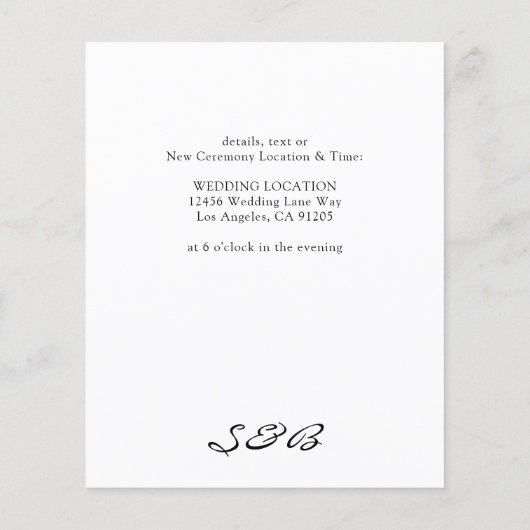 De begroting zwart-wit annuleert of verandert de D Flyer (Achterkant)