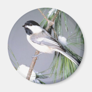 De Behandelde Tak van de vogel Sneeuw Magneet