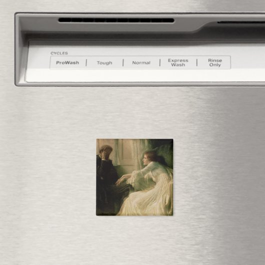 De bekentenis magneet (Insitu (Vaatwasser))