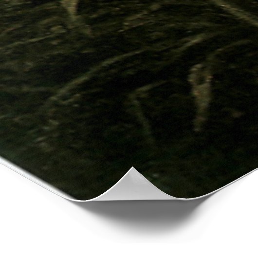 De beker van de dood poster (Hoek)