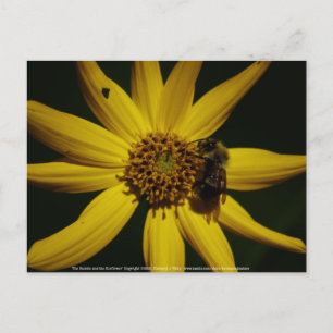 De bel en de zonnebloem briefkaart