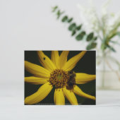 De bel en de zonnebloem briefkaart (Staand voorkant)