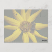De bel en de zonnebloem briefkaart (Achterkant)
