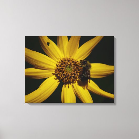 De bel en de zonnebloem canvas afdruk (Voorkant)