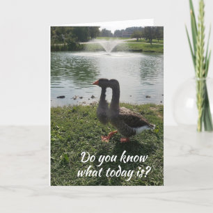 DE BELANGRIJKSTE DAG VAN HET JAAR: ‘HAPPY BIRTHDAY KAART