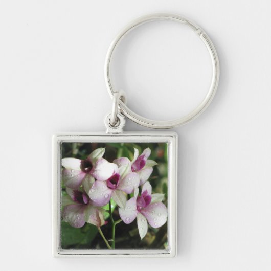 De belangrijkste keten van Orchideeën Sleutelhanger (Voorkant)