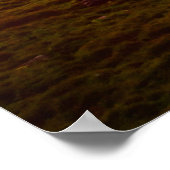 De belangrijkste pieken van Schreckhorn en Wetterh Poster (Hoek)