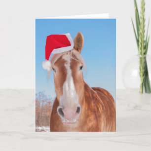 De Belgische Helper van de kerstman Feestdagen Kaart