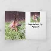 De Belgische Kaart van het Moederdag Malinois (Binnen)