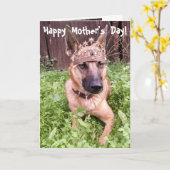 De Belgische Kaart van het Moederdag Malinois (Gele Bloem)