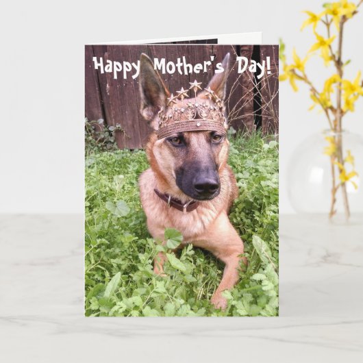 De Belgische Kaart van het Moederdag Malinois (Gele Bloem)