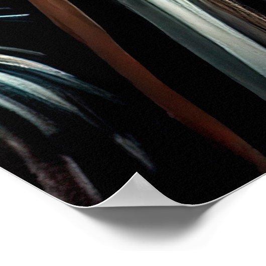 De Belgische Shepherd-fiets St. Patrick's Day Poster (Hoek)