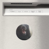 De Belgische Shepherd's Teeth ook bekend onder de Magneet (Insitu (Vaatwasser))