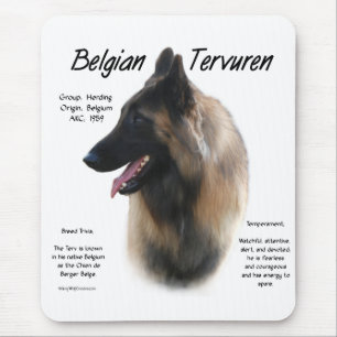 De Belgische Tervuren ontmoeten de Breed Muismat