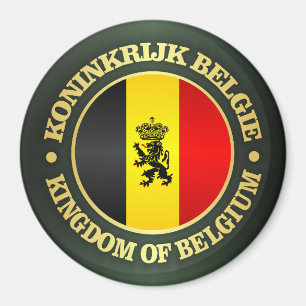De Belgische Vlag van de Staat Magneet