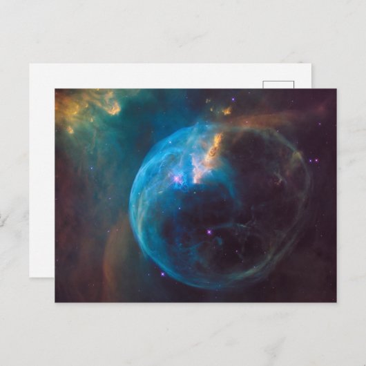 De bellennevel briefkaart (Voorkant / Achterkant)