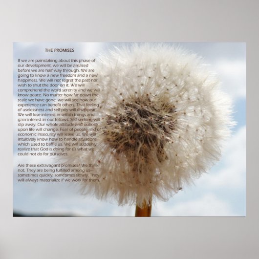 De beloften poster (Voorkant)