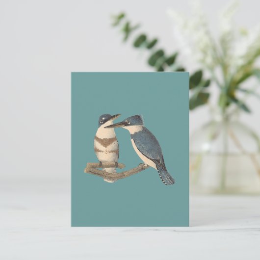 De Belted Kingfisher (Alava alcyon) NY Vogels Briefkaart (Staand voorkant)