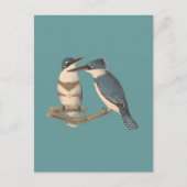 De Belted Kingfisher (Alava alcyon) NY Vogels Briefkaart (Voorkant)