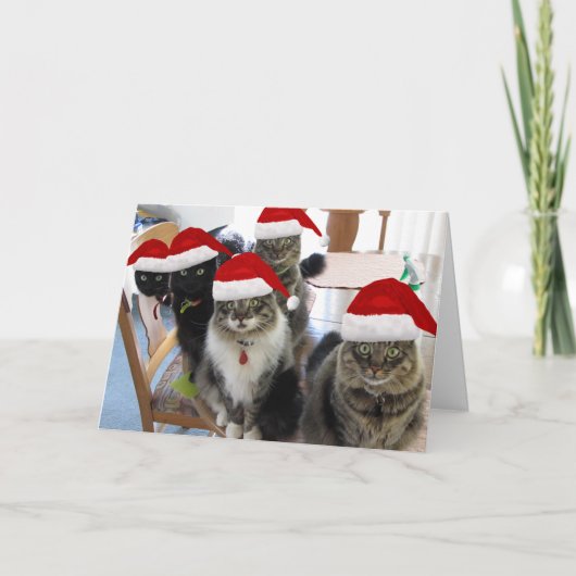 De Bende Vrolijke Kerstgroet Feestdagen Kaart (Voorkant)