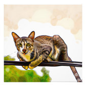 De bengaalse kat foto afdruk (Voorkant)