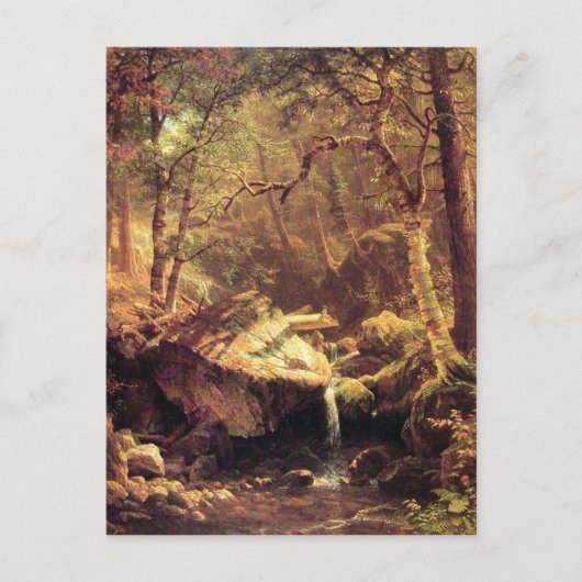 De bergbrook briefkaart (Voorkant)