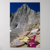 De bergen roepen poster (Voorkant)