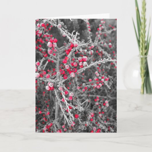 De berijpte Kaart van Bessen (Voorkant)