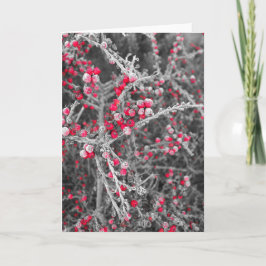 De berijpte Kaart van Bessen