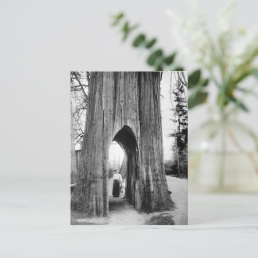 De beroemde fietsstructuur van Snohomish Briefkaart (Staand voorkant)