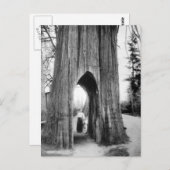 De beroemde fietsstructuur van Snohomish Briefkaart (Voorkant / Achterkant)