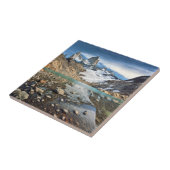 De beroemde Fitz Roy Tegeltje (Zijkant)