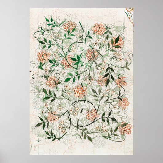 De beroemde Jasmine van William Morris (1834-1896) Poster (Voorkant)