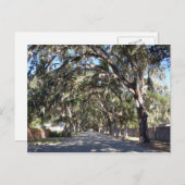 de beroemde magnolia avenue in augustine florida u briefkaart (Voorkant / Achterkant)