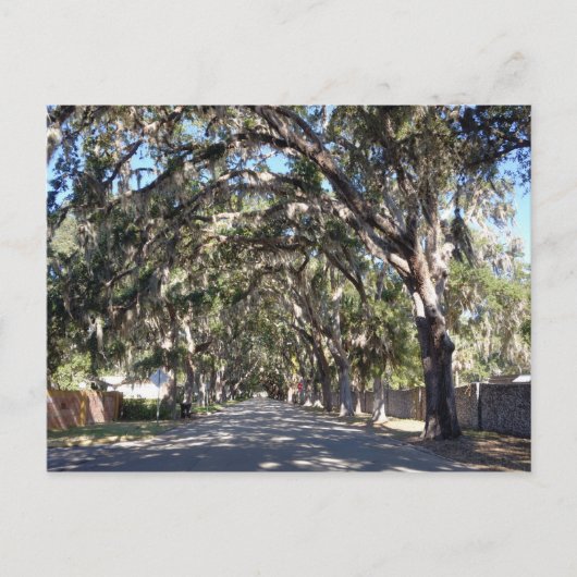 de beroemde magnolia avenue in augustine florida u briefkaart (Voorkant)