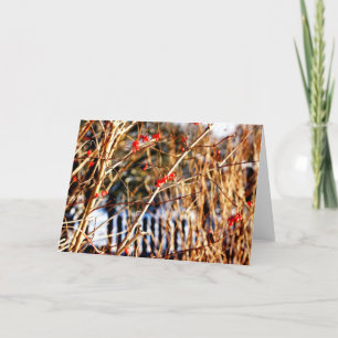 De Bes Notecards van de winter Kaart