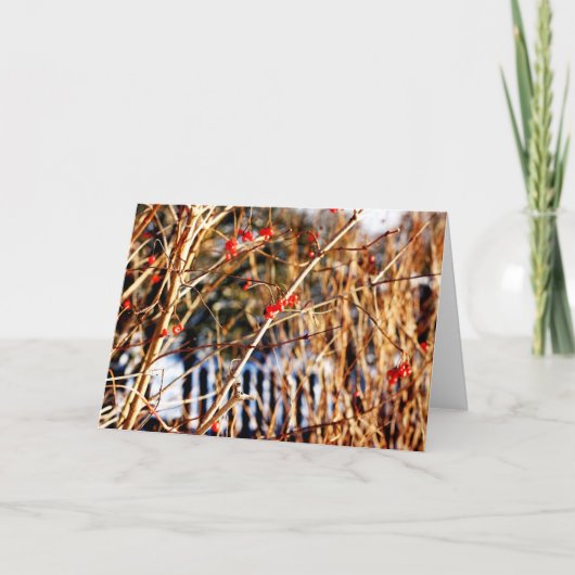 De Bes Notecards van de winter Kaart (Voorkant)