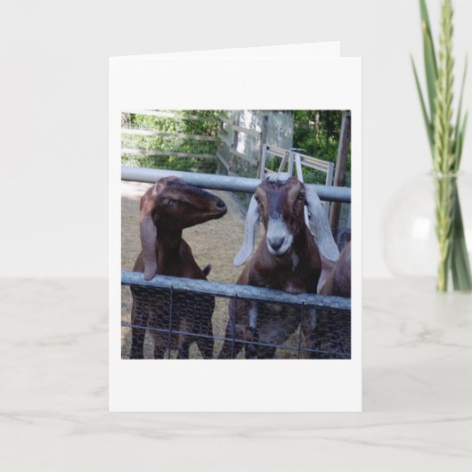 De Bespreking van het meisje Kaart (Voorkant)