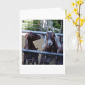 De Bespreking van het meisje Kaart (Gele Bloem)