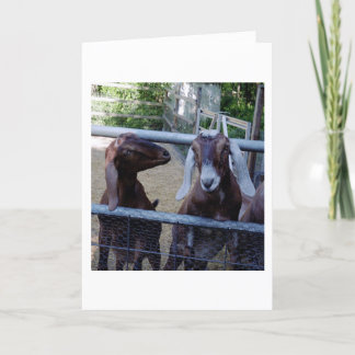 De Bespreking van het meisje Kaart